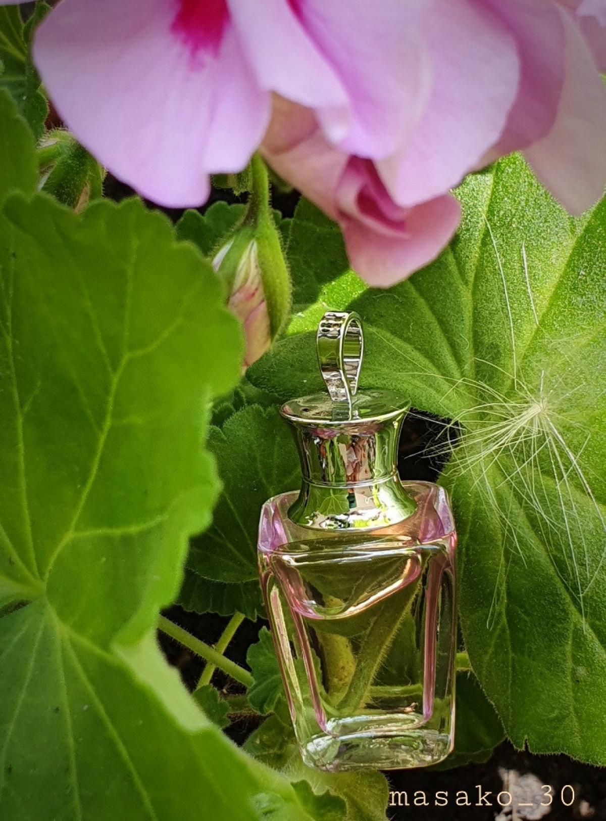 Promesse Cacharel perfume - a fragrance for women 2005