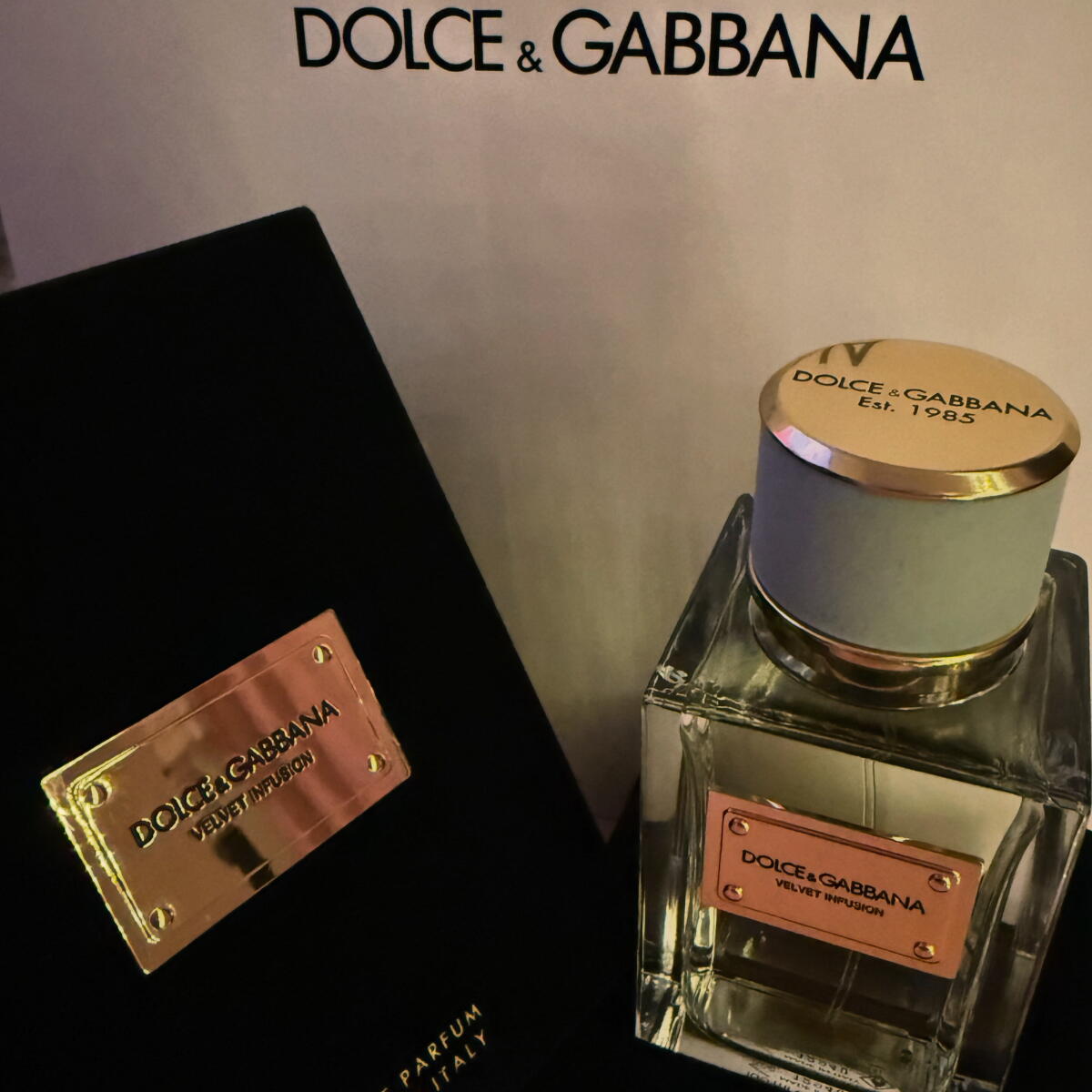 Velvet infusion dolce gabbana parfum un nouveau parfum pour homme et