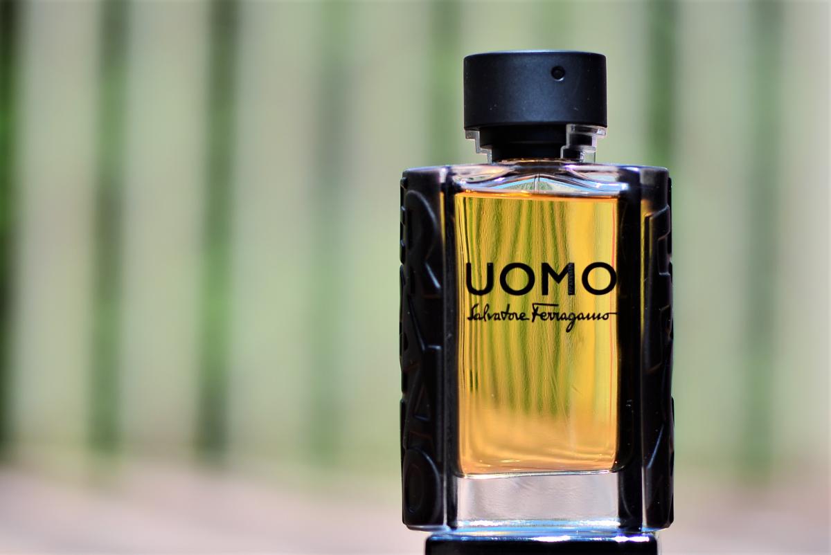 Uomo Salvatore Ferragamo Salvatore Ferragamo cologne - a fragrance for