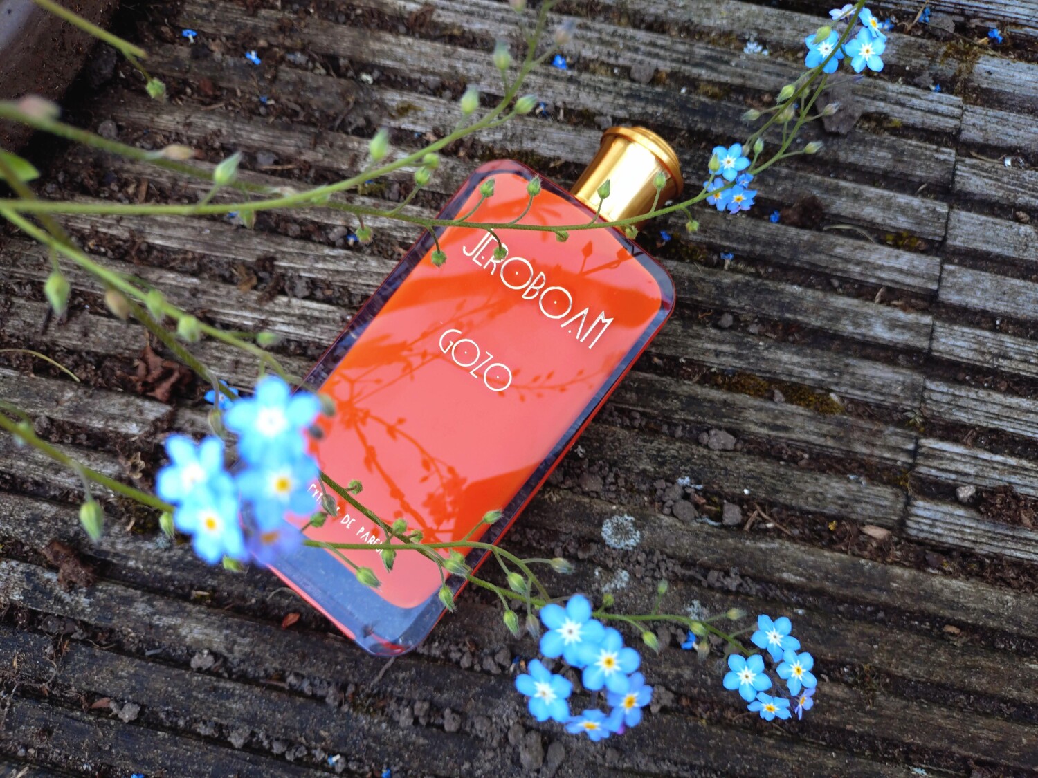 Gerbo Perfume Gozo Jeroboam perfume - a fragrance for women and men 2020