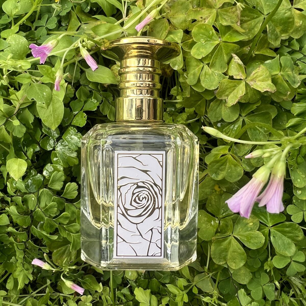 Mazaaji Lattafa Perfumes Parfum - ein es Parfum für Frauen