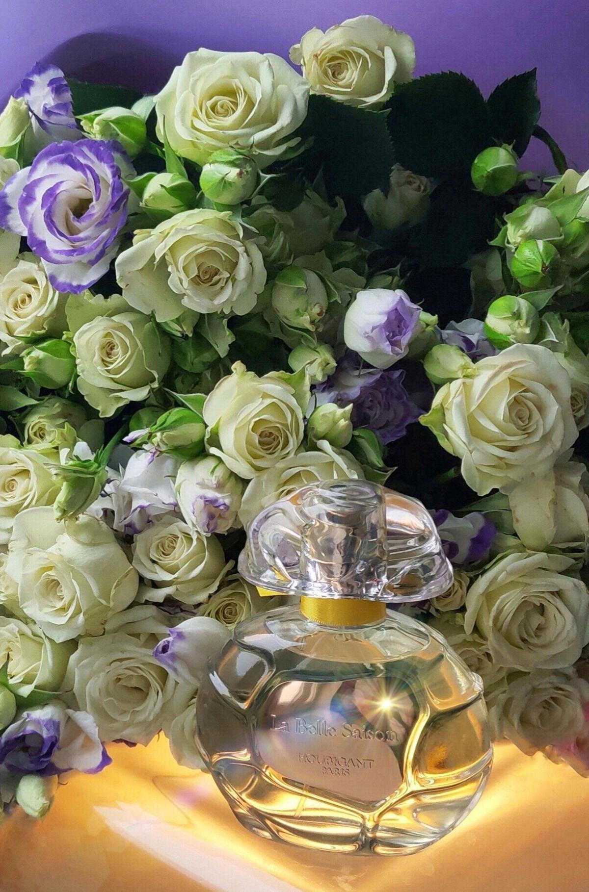 La Belle Saison Houbigant perfume a fragrance for women and men 2020
