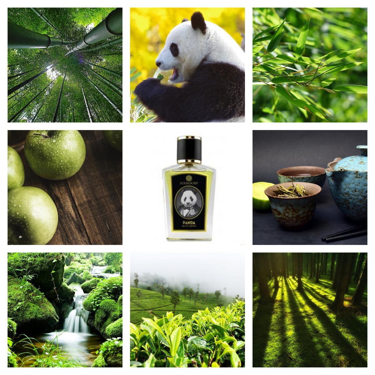 Panda Edition 2017 Zoologist Perfumes fragancia una fragancia para