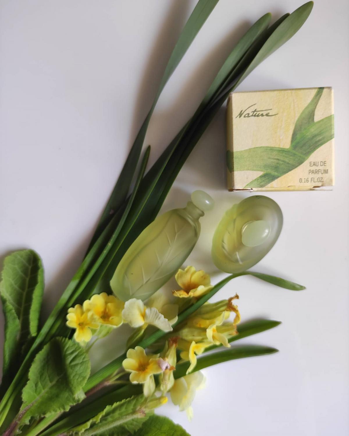 Nature Yves Rocher perfume - a fragrance for women 1993