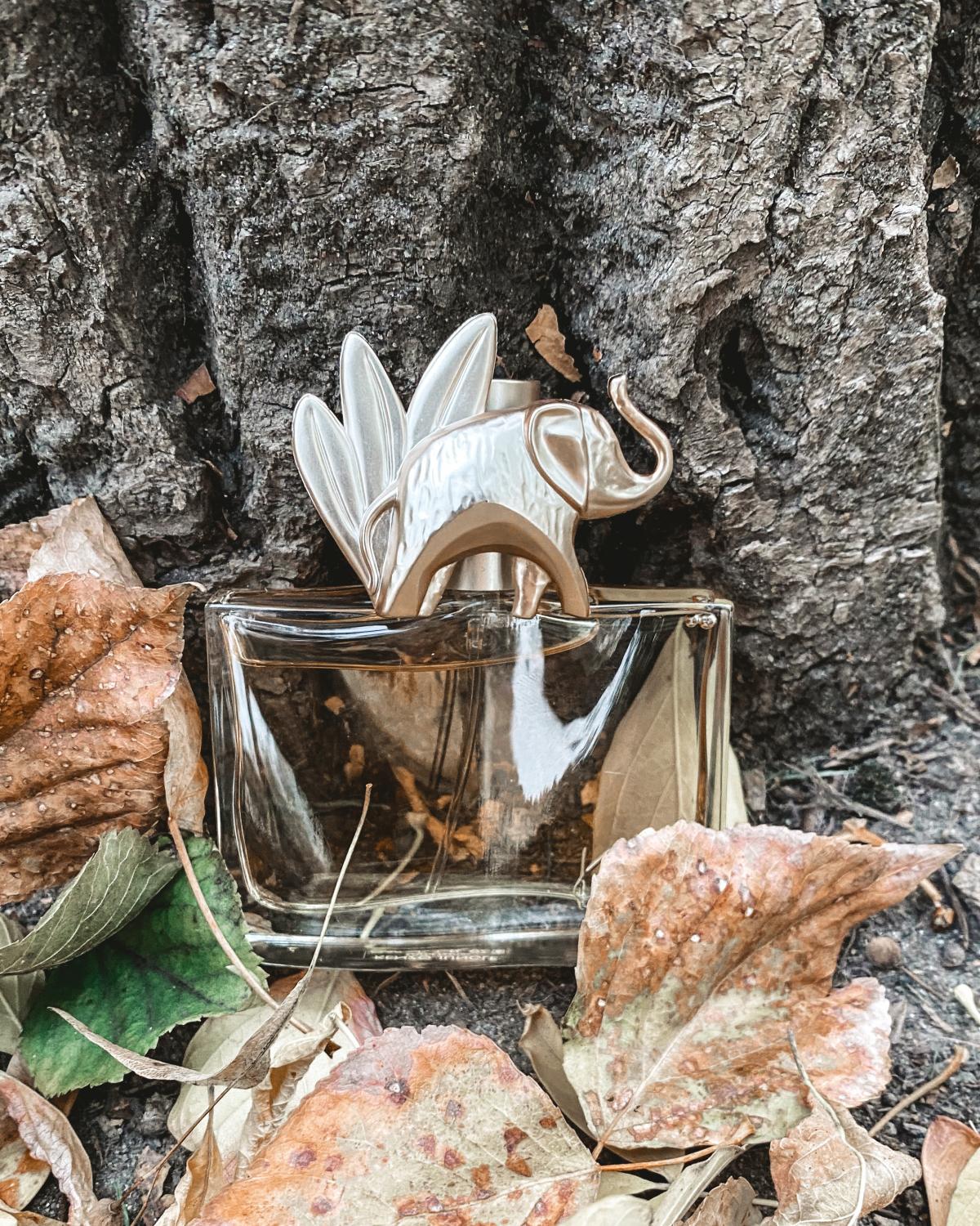 Kenzo Jungle L'Elephant Kenzo perfume a fragrance for women 1996