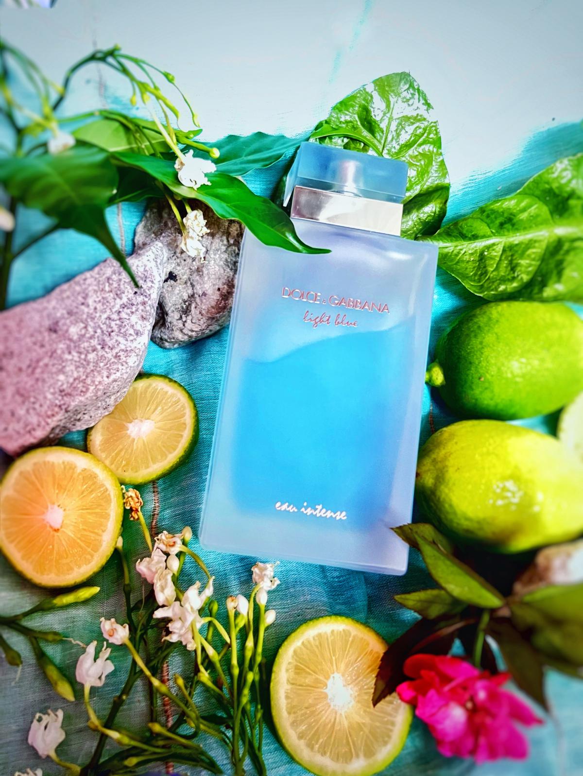 Light Blue Eau Intense Dolce&Gabbana perfume - a fragrance for women 2017