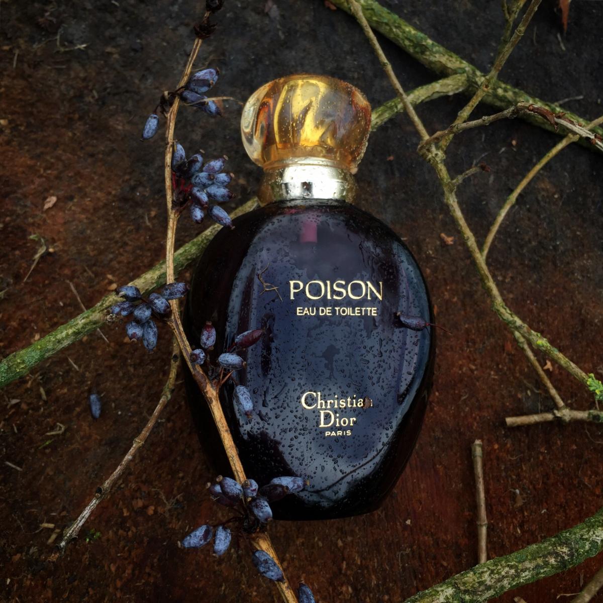 Poison Eau de Cologne Dior perfume - a fragrance for women 1985