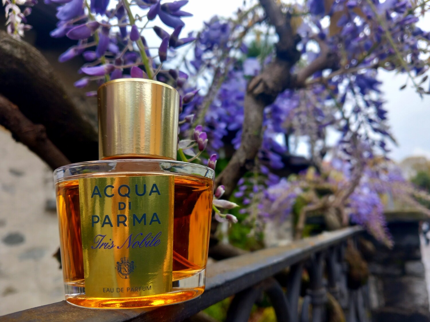Acqua Di Parma Iris Nobile Perfume Perfume Acqua Di Iris Iris