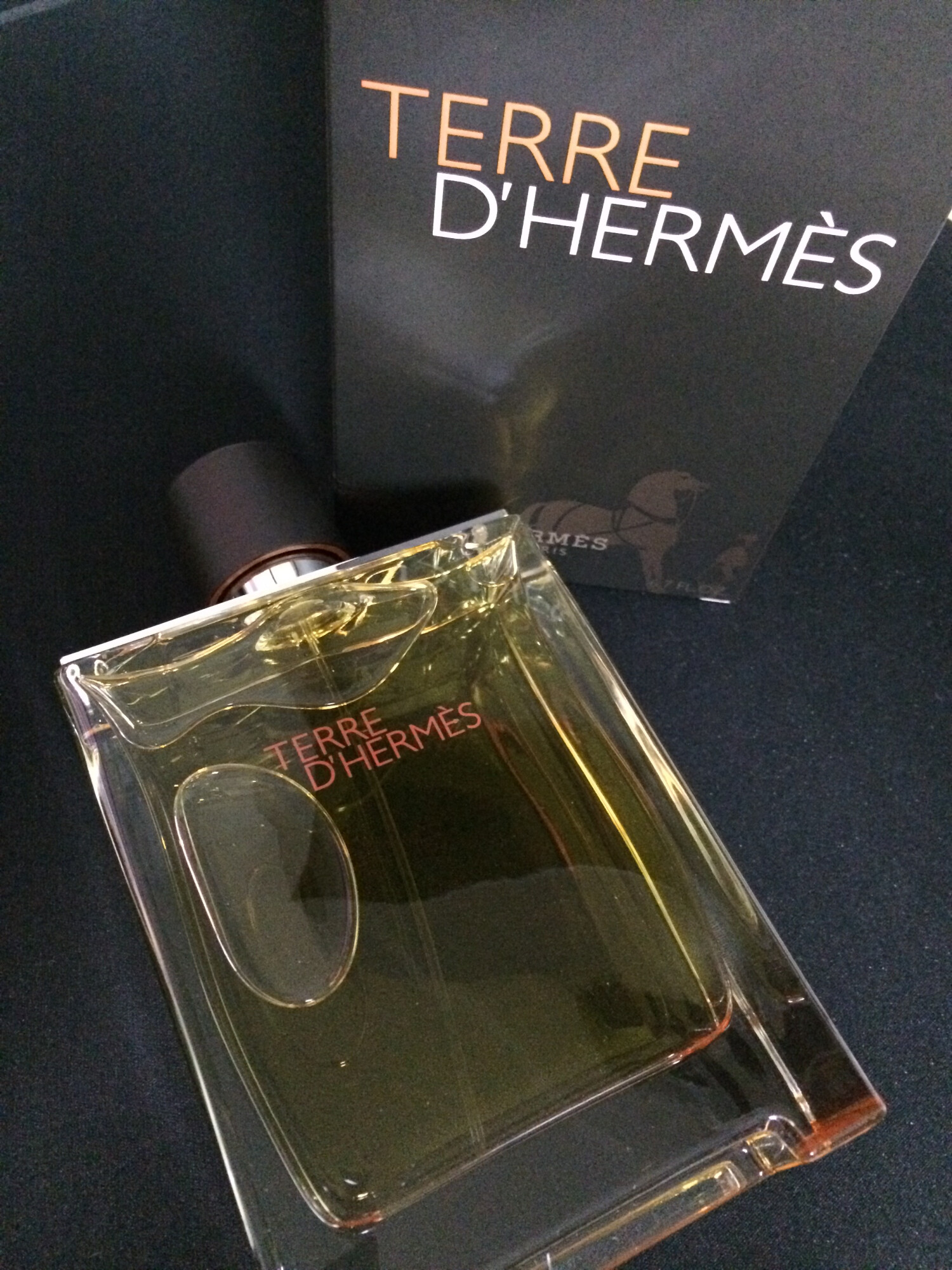 Terre d'Hermes Parfum Hermès cologne - a fragrance for men 2009
