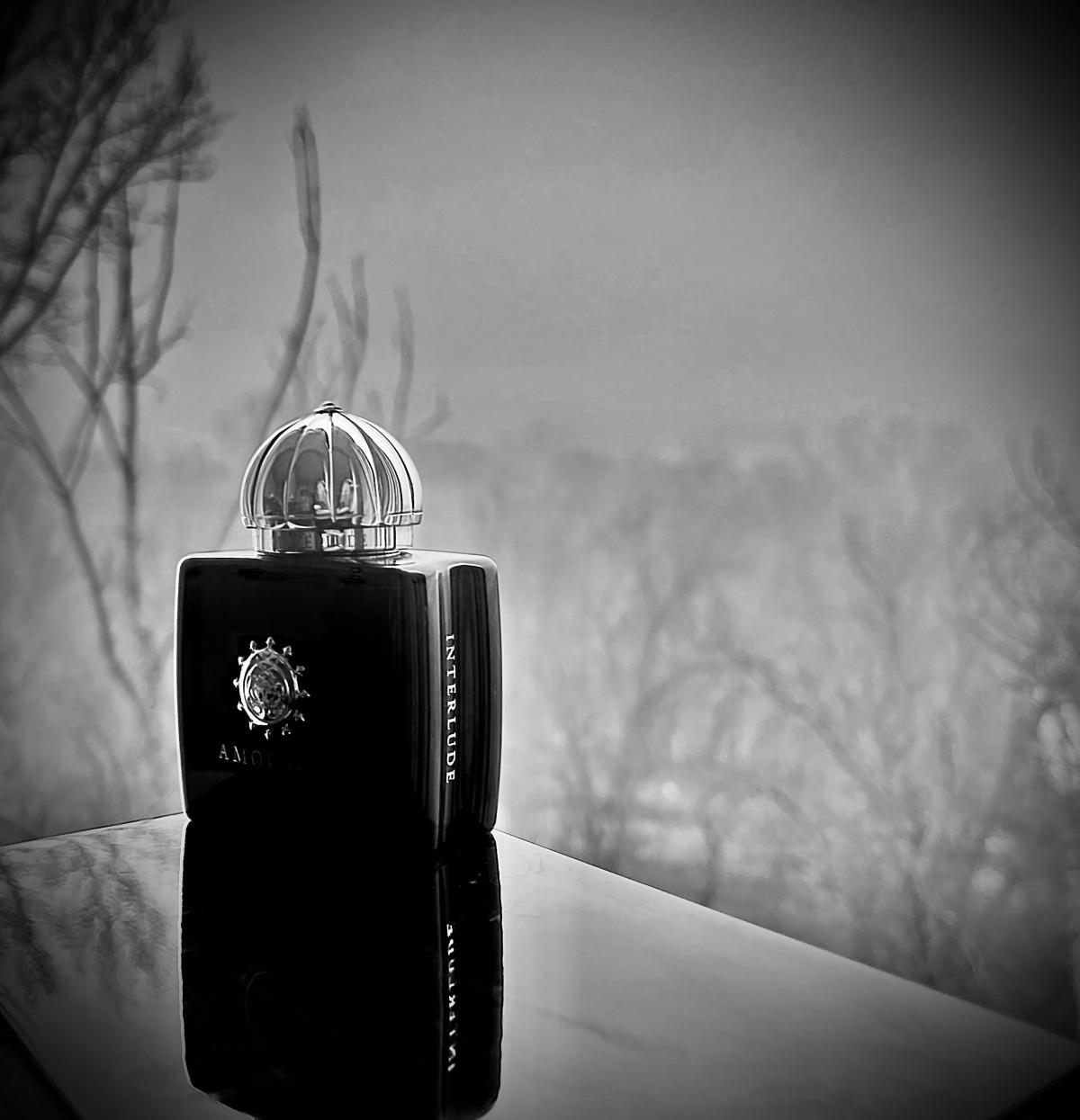 Interlude Woman Amouage аромат — аромат для женщин 2012