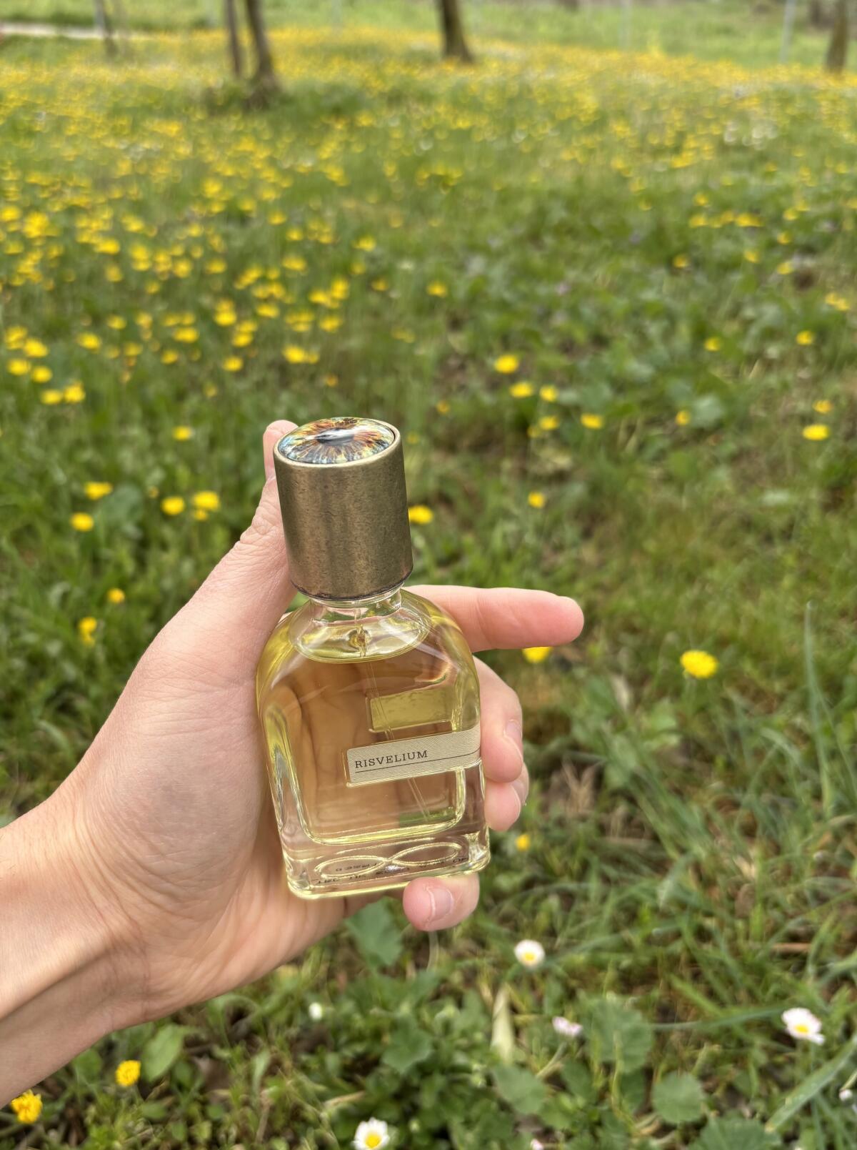 Risvelium Orto Parisi perfume - a new fragrance for women and men 2025