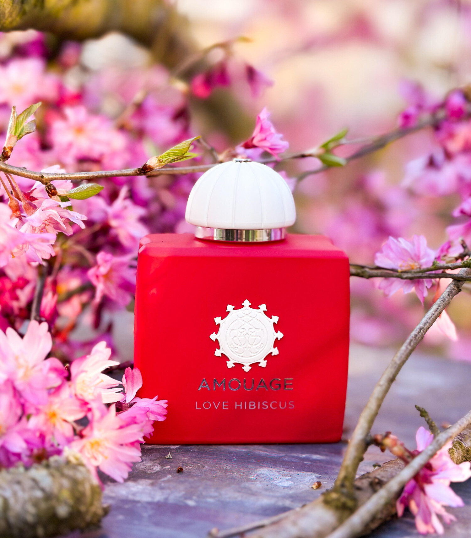 AMOUAGE Eau De Parfum 100ml 女性用香水 Love Hibiscus Amouage 香水 - 2026年の女性用 新着フレグランス