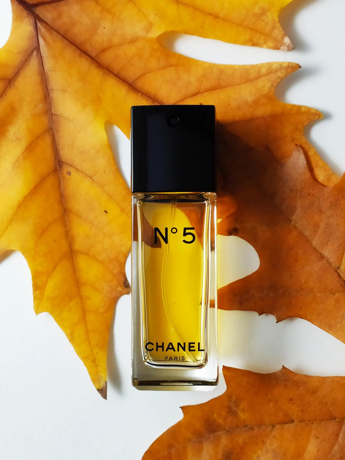 chanel-no-5-eau-de-toilette-chanel-parfem-parfem-za-ene-1921