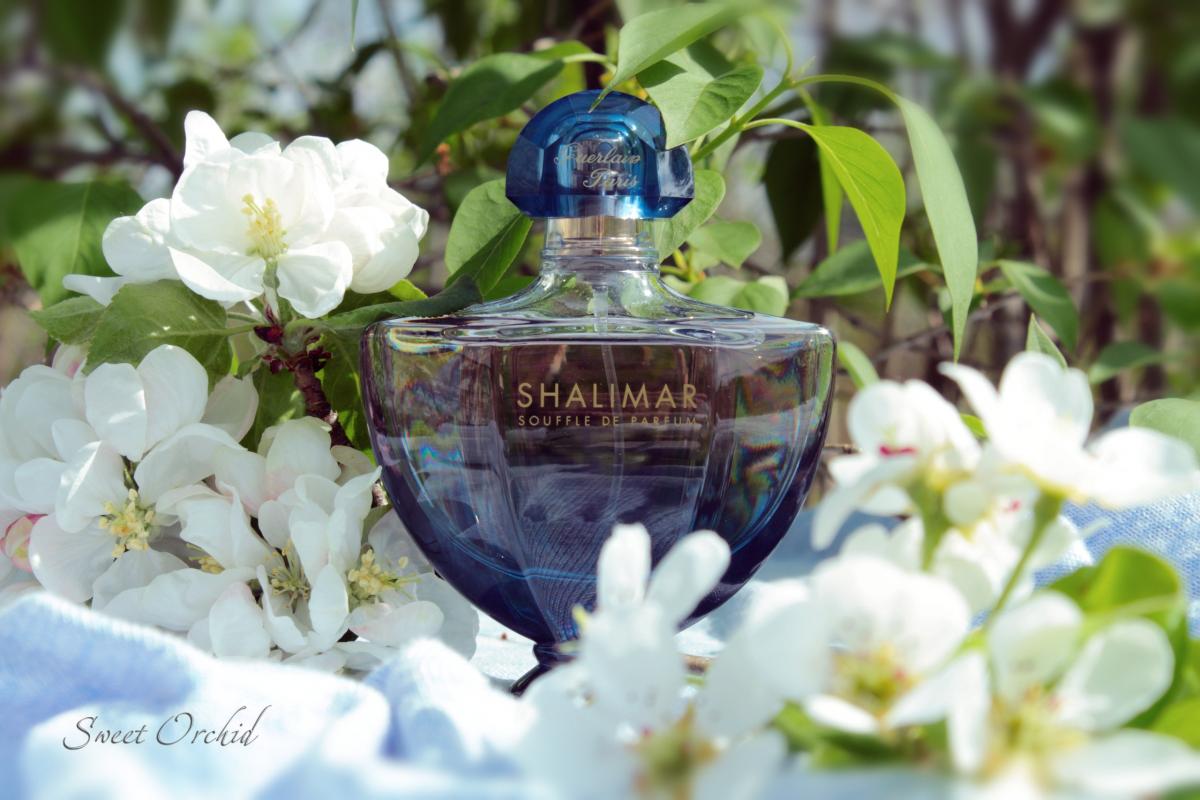 Shalimar Souffle de Parfum Guerlain perfume a fragrance for women 2014