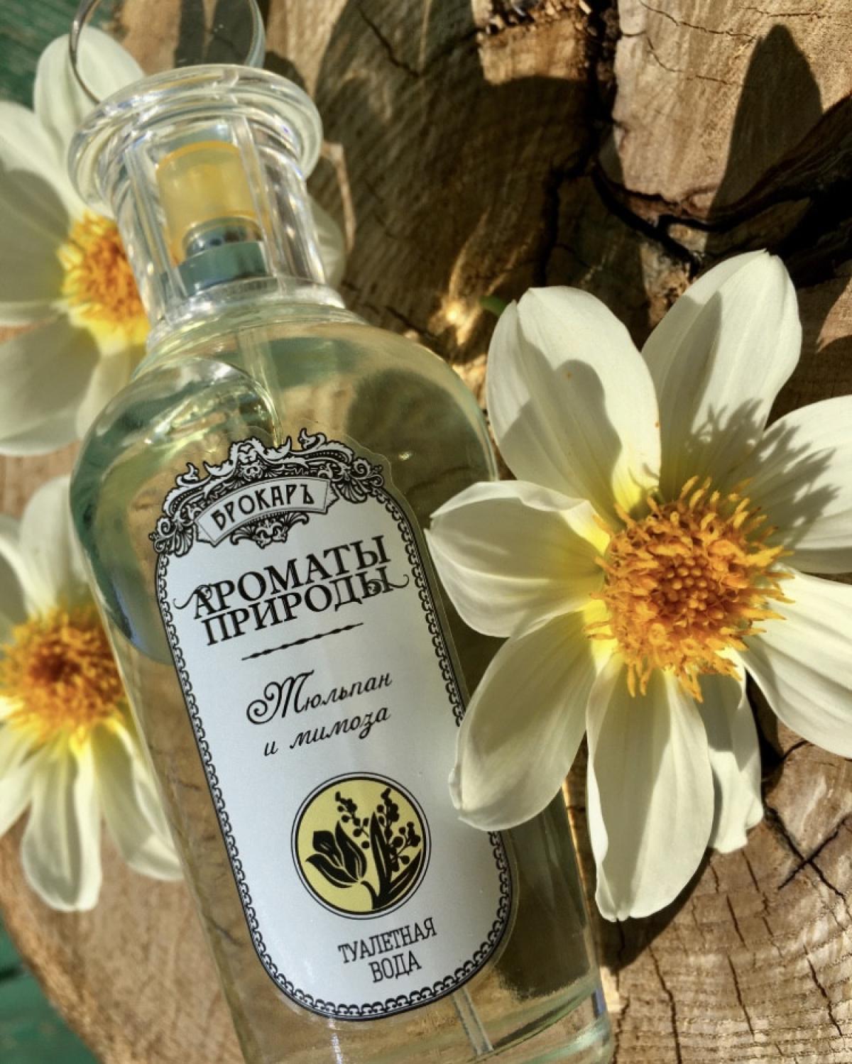 Тюльпан и мимоза - Tulip and Mimosa Brocard аромат — аромат для женщин 2018