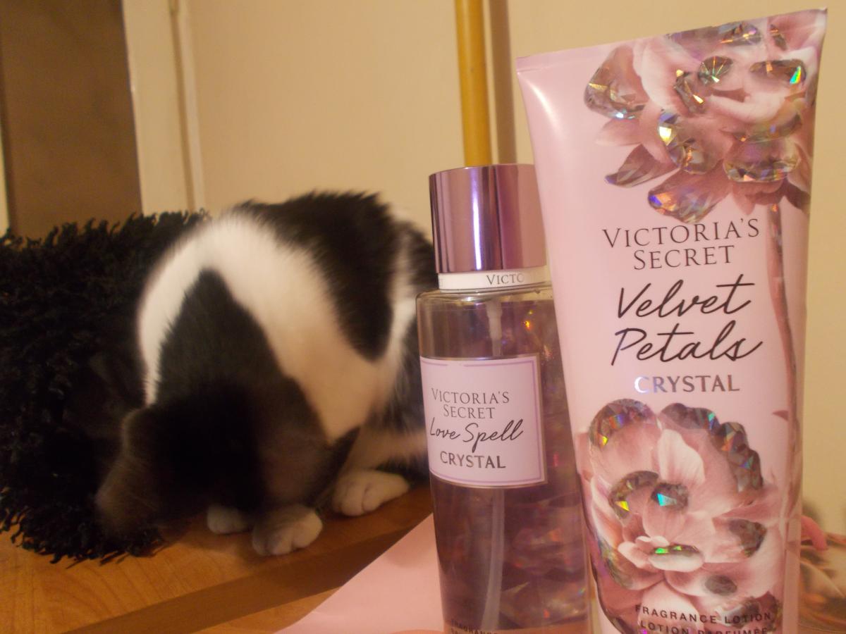 Velvet petals discount victoria's secret fragrantica