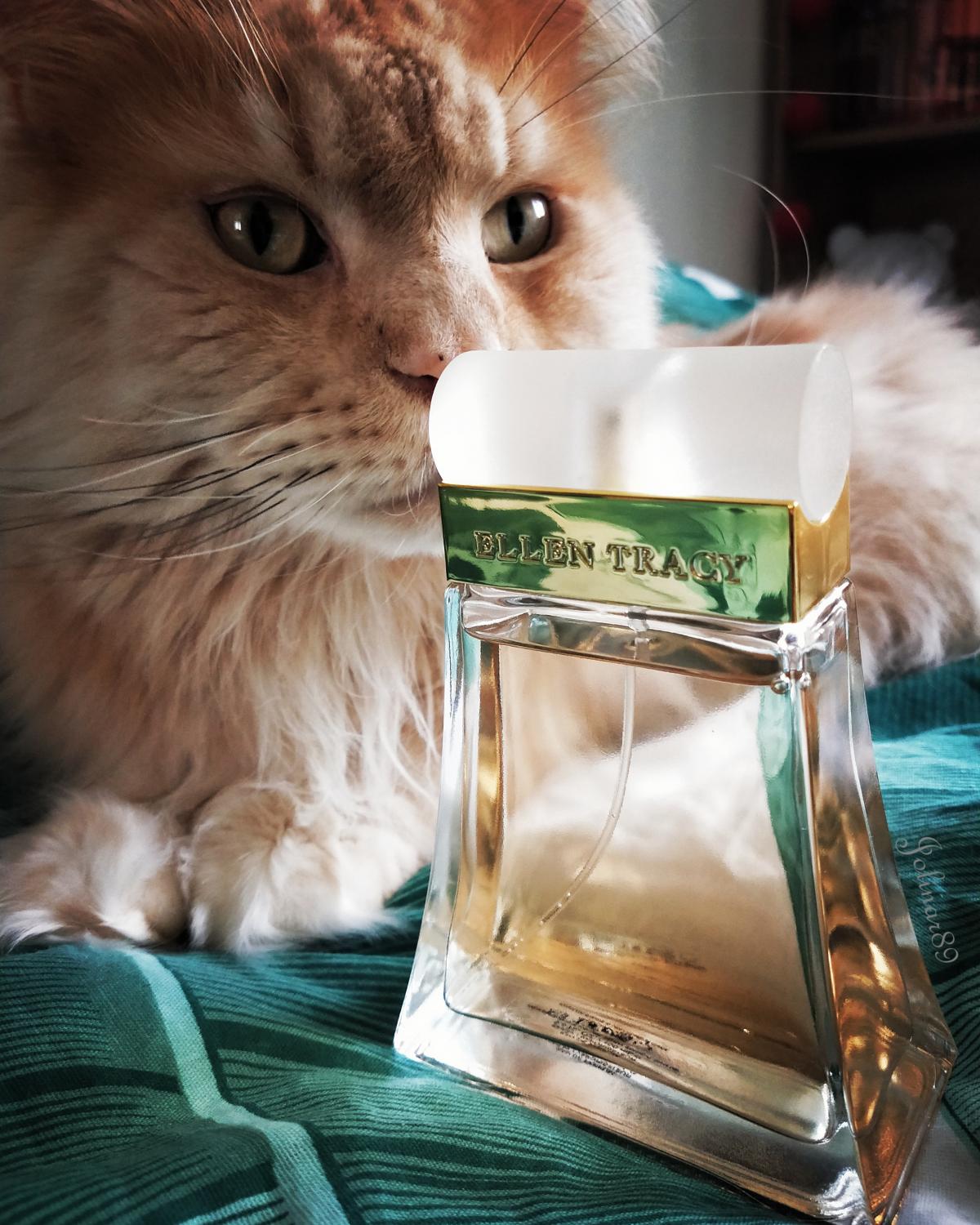 Ellen Tracy Ellen Tracy perfume - a fragrance for women