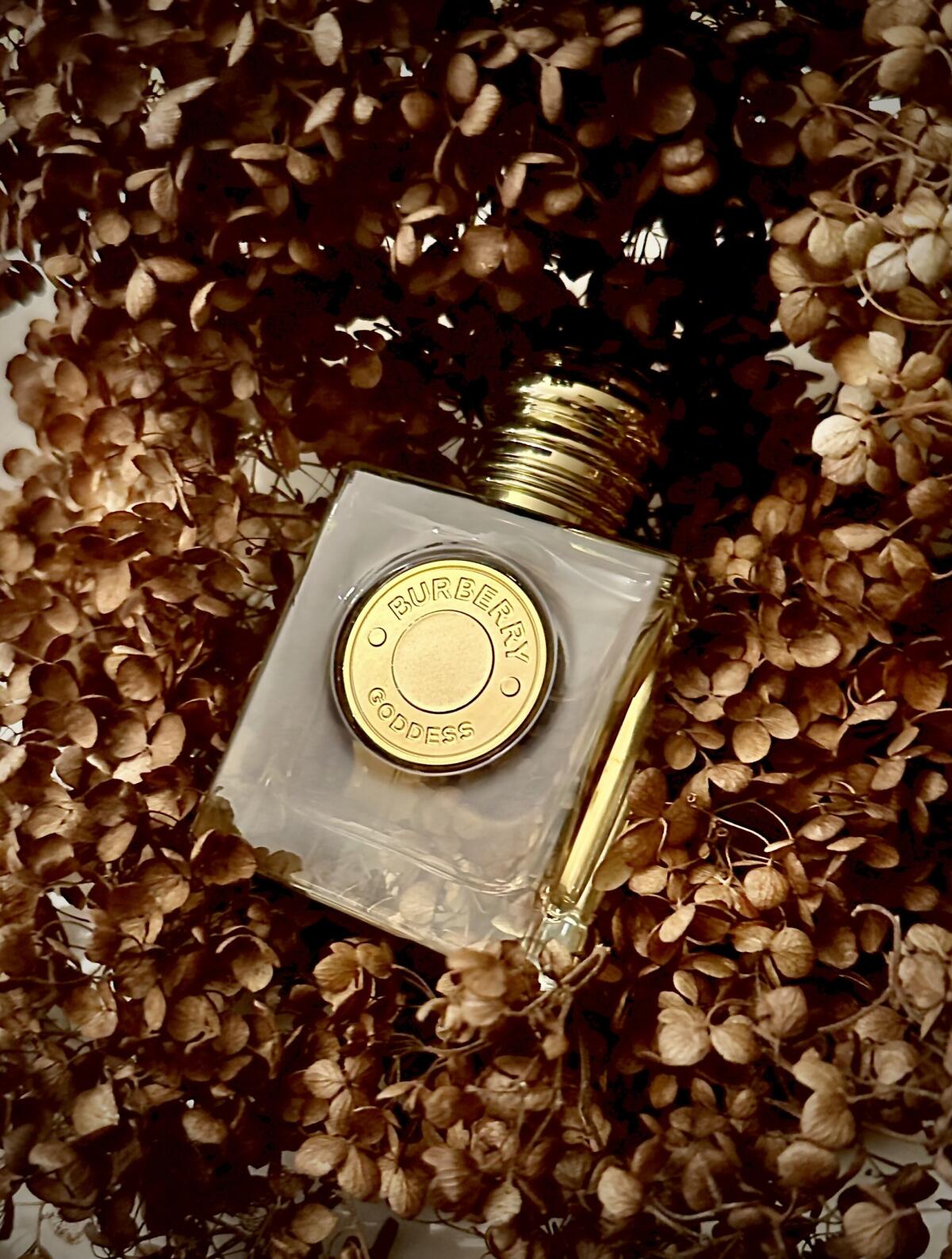 Burberry Goddess VS Burberry Goddess Intense Fragrance Reviews