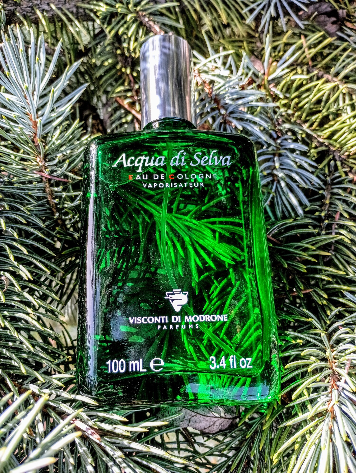 Acqua di Selva Visconti di Modrone コロン - 1949年の男性用 フレグランス