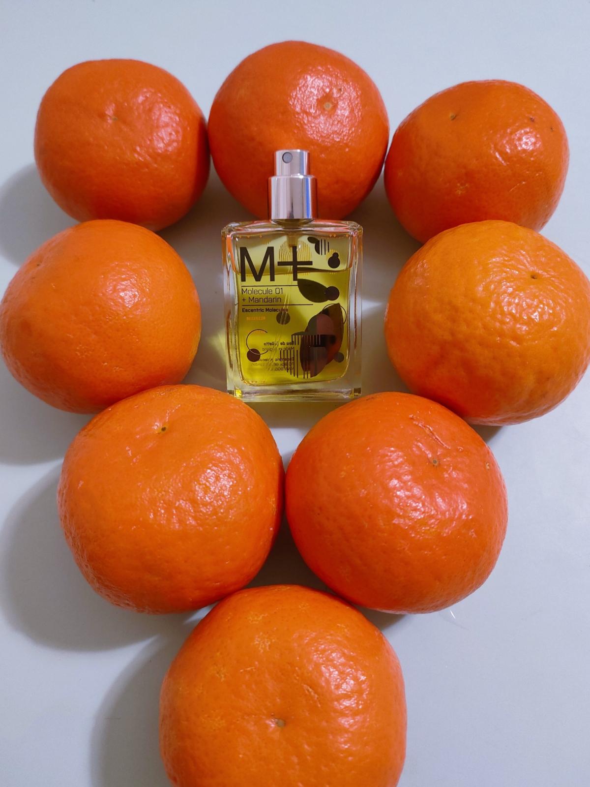 Molecule 01 + Mandarin Escentric Molecules perfume - a fragrance for ...