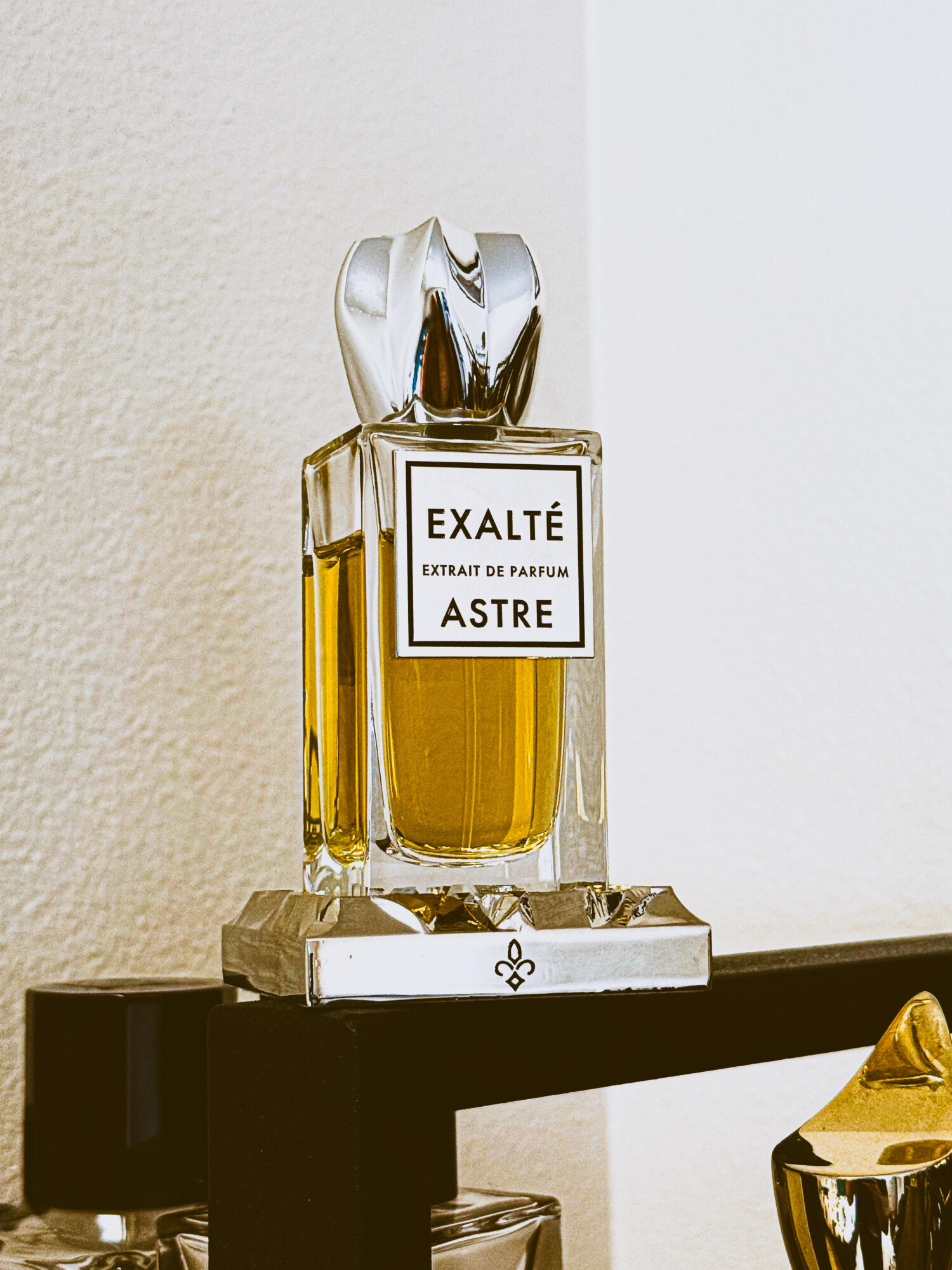 EXALTÉ Astre perfume - a new fragrance for women and men 2026