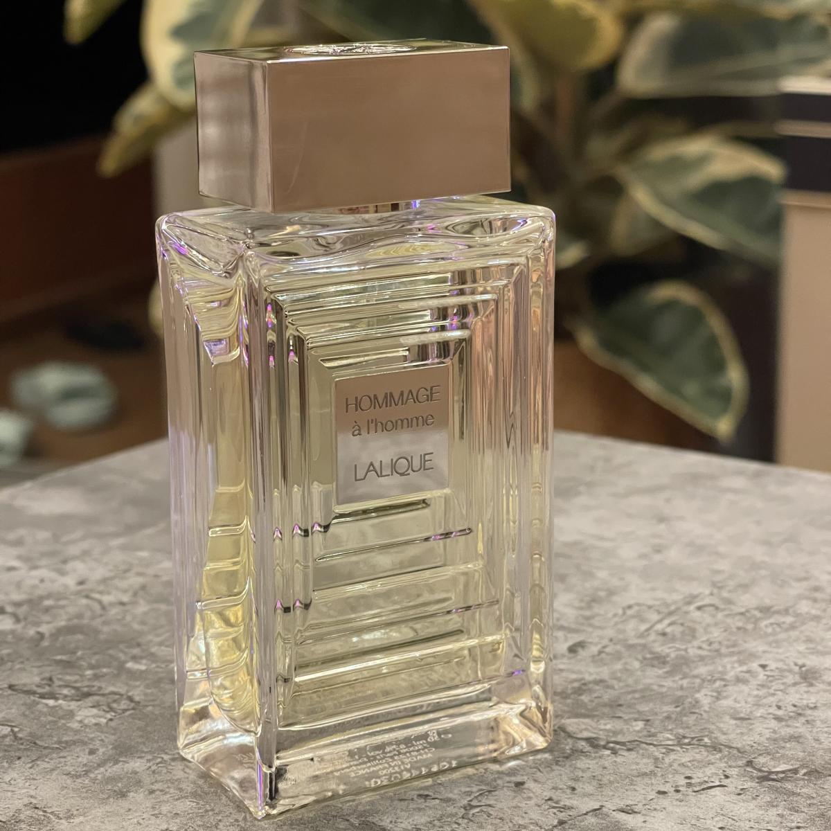 Hommage à l'Homme Eau de Toilette Lalique cologne - a fragrance for men ...