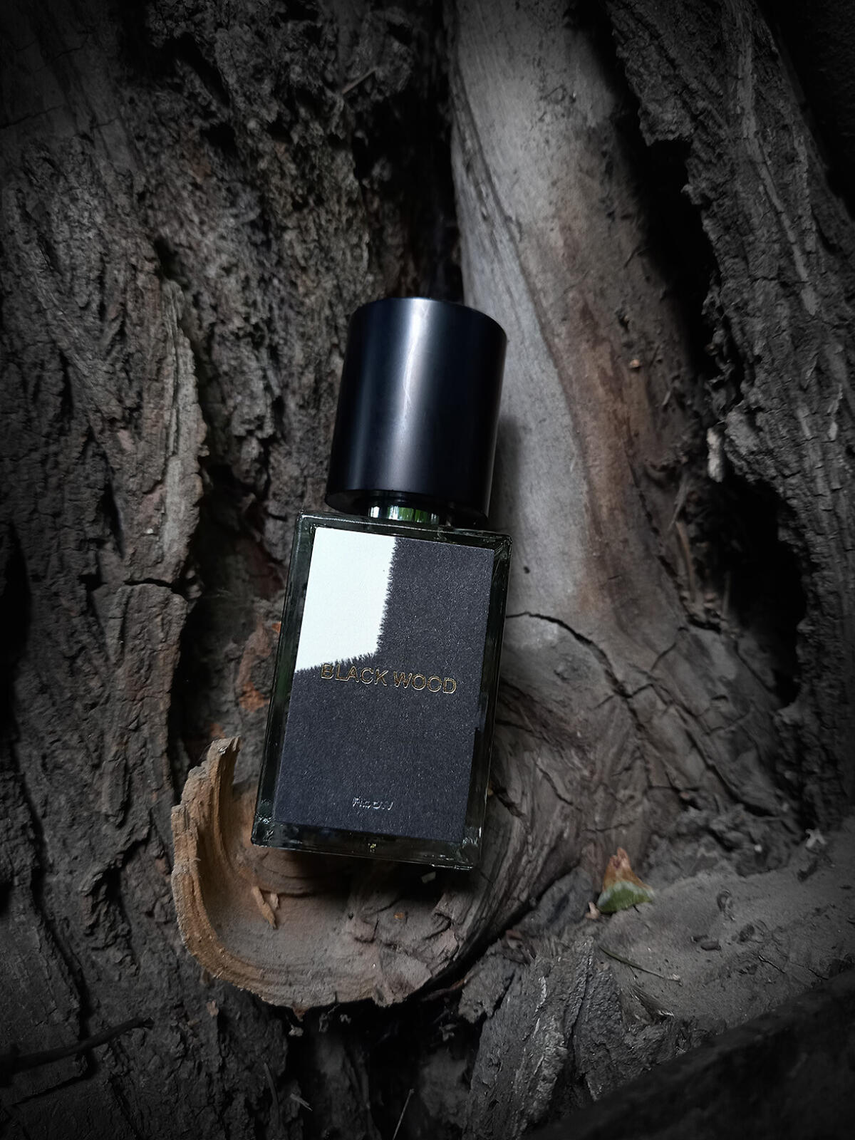 香水(ユニセックス) RboW BLACK WOOD Eau de Parfum Case Study #4 Black Wood RboW perfume - a new fragrance for