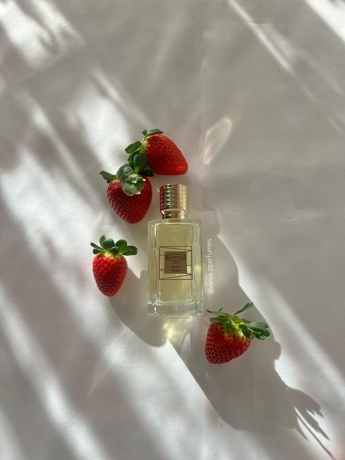 Spiky Muse Ex Nihilo perfume - a new fragrance for women and men 2025