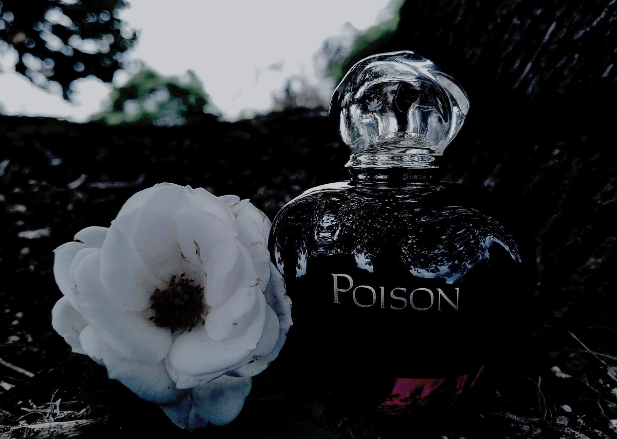 Poison Christian Dior Perfume A Fragrance For Women 1985 