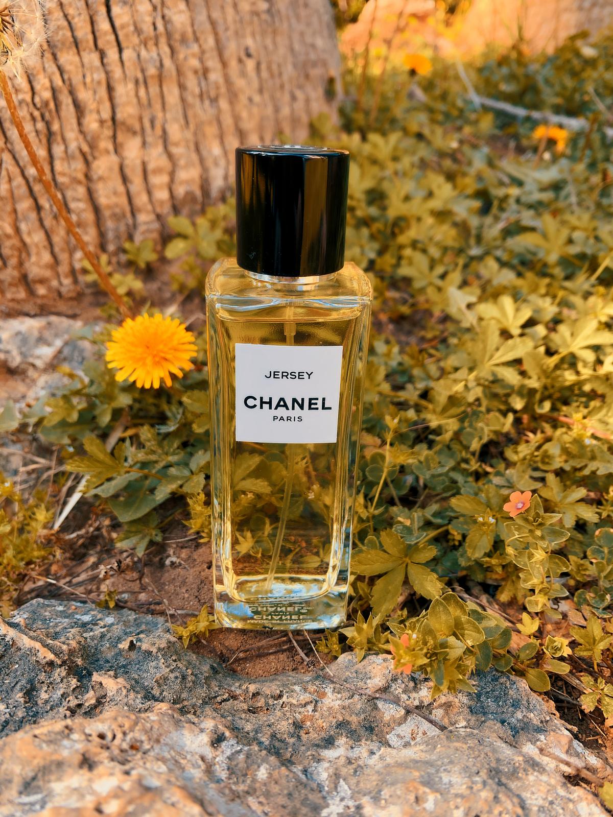 Jersey Eau de Parfum Chanel perfume - a fragrance for ...