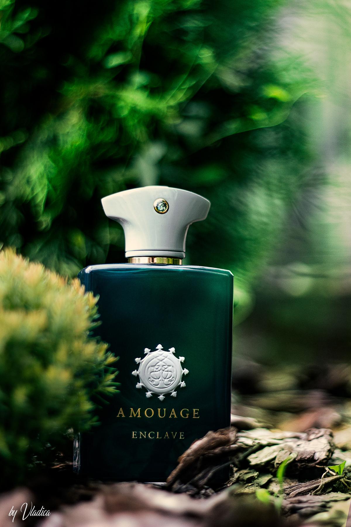 Amouage enclave описание