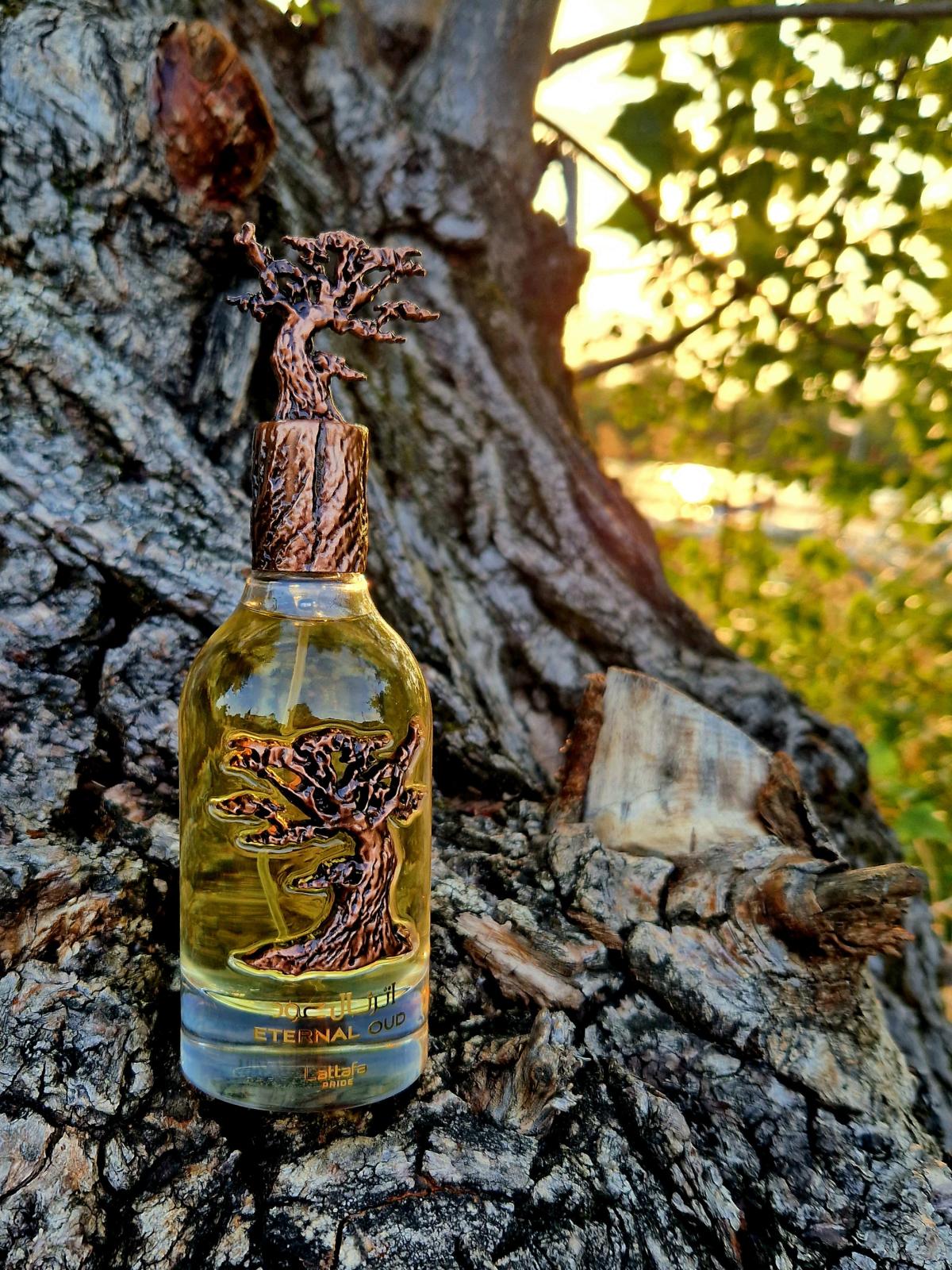 Eternal Oud Lattafa Perfumes perfume - a new fragrance for women and ...