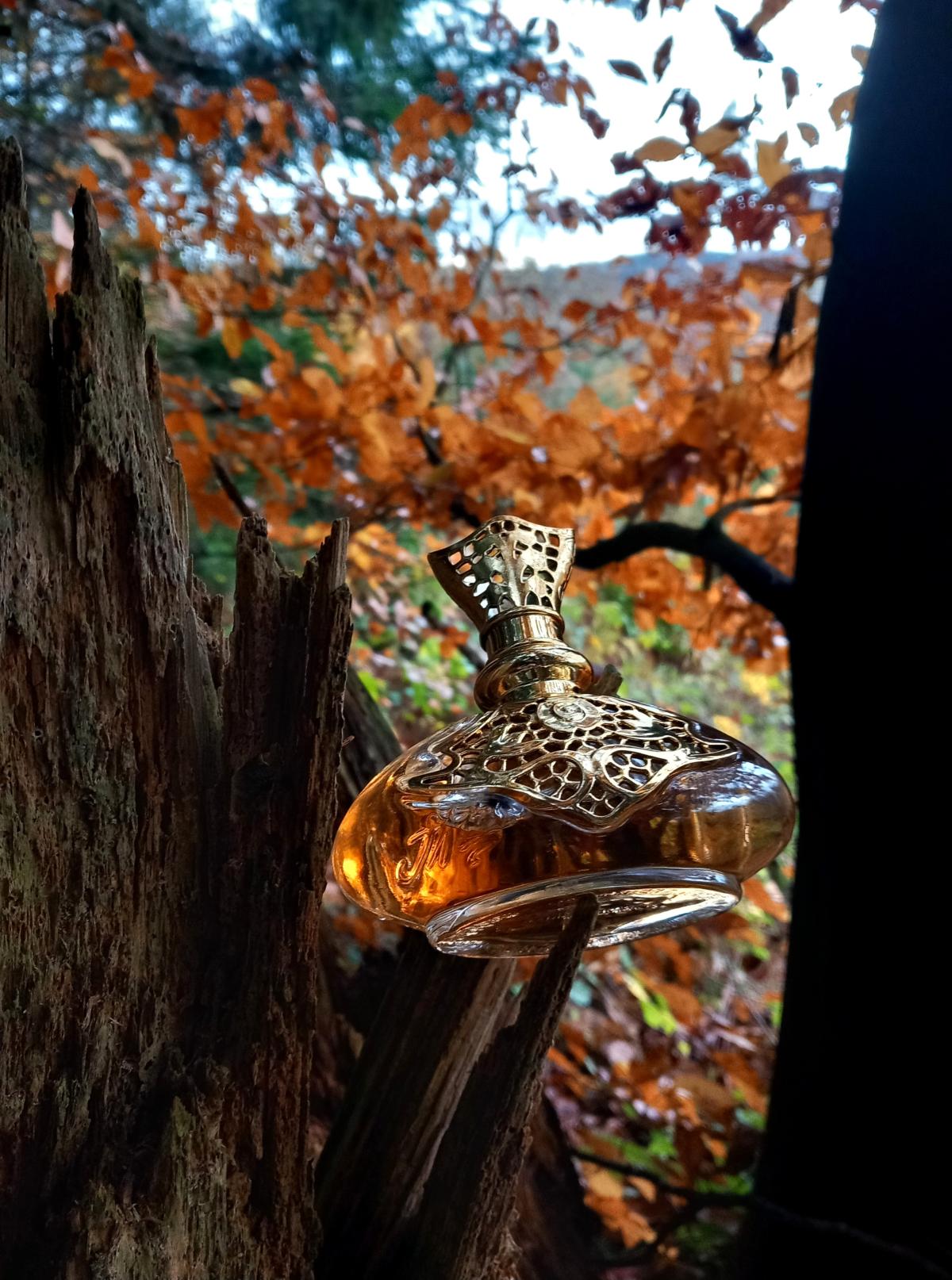 perfume guipure & silk ylang vanille edp 100ml jeanne arthes