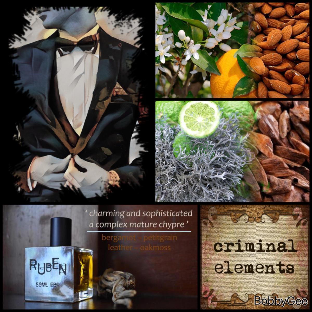 Ruben Criminal Elements cologne - a fragrance for men 2019