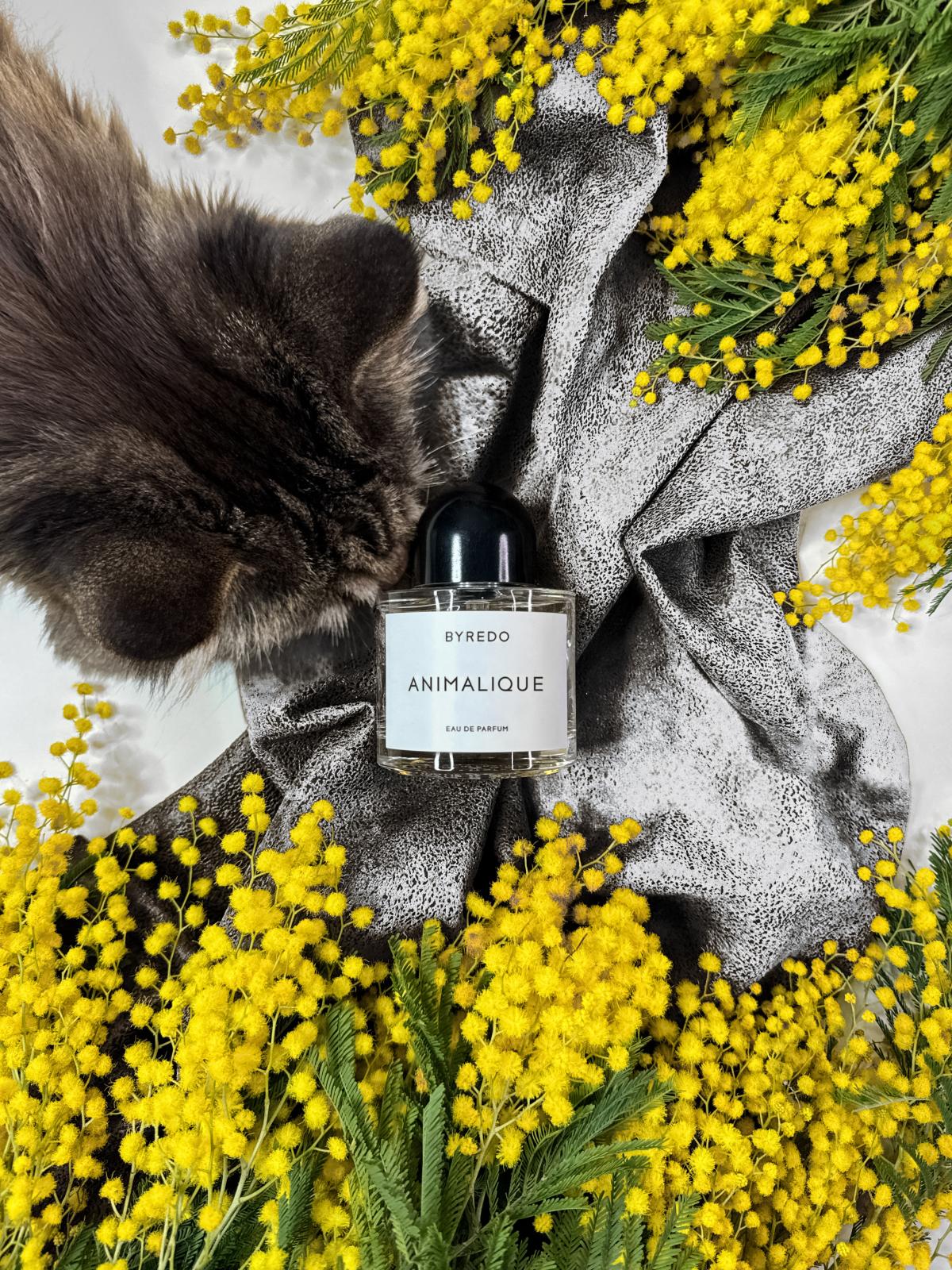 Animalique Byredo perfume - a new fragrance for women and men 2023