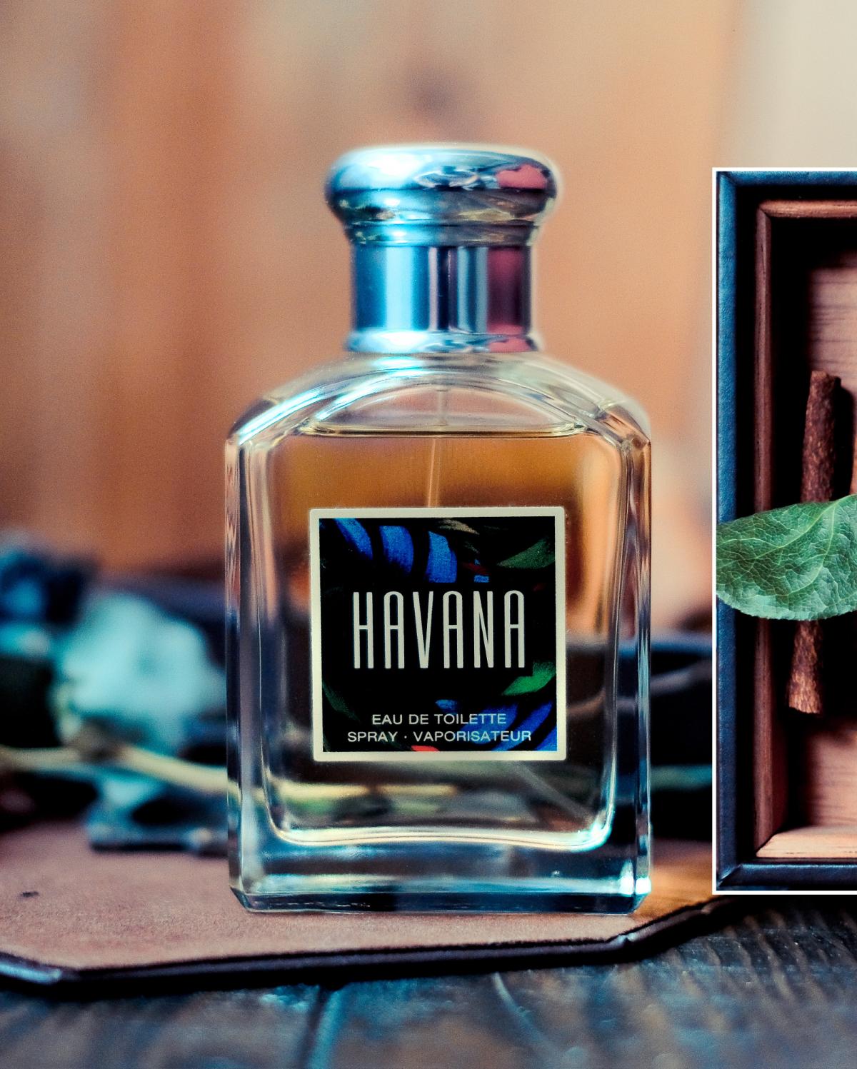 Havana Aramis Cologne A Fragrance For Men 1994