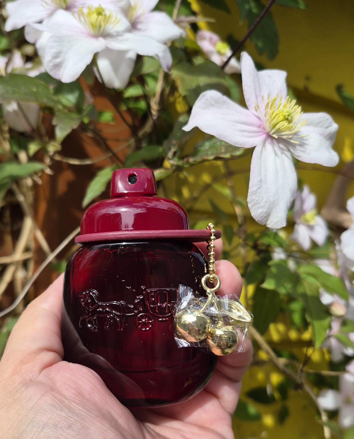 Coach Cherry Coach 香水 - 2026年の女性用 新着フレグランス