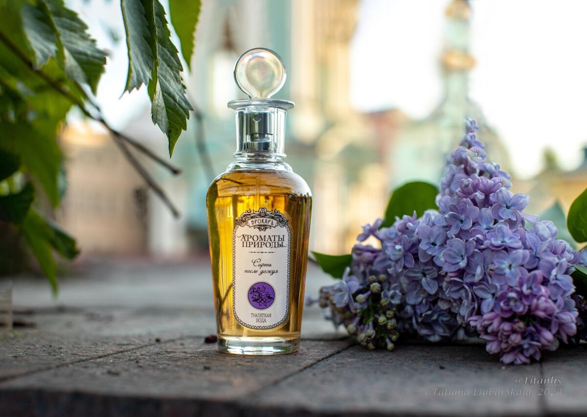 Сирень после дождя - Lilac After The Rain Brocard аромат — аромат для ...