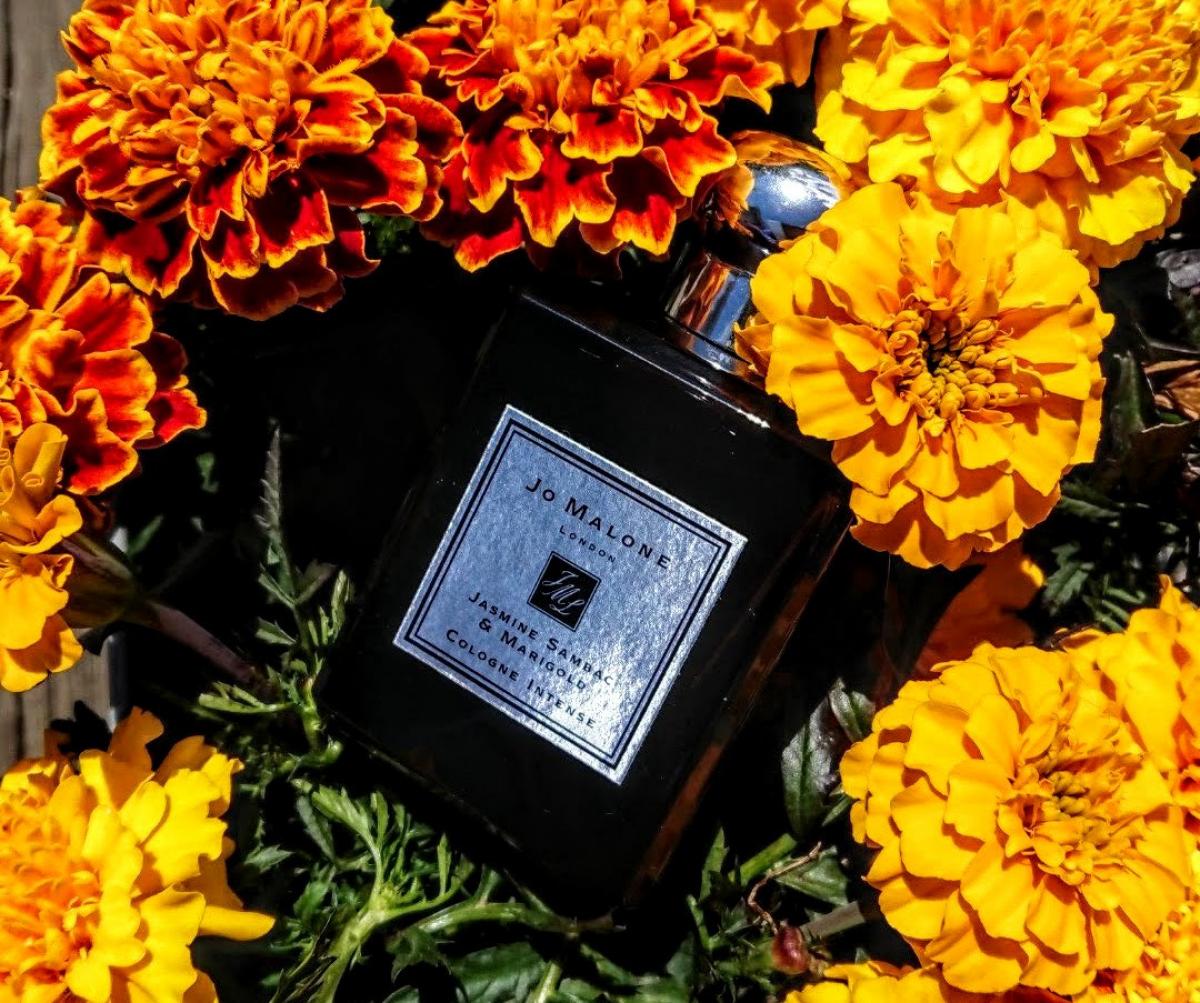 Jasmine Sambac & Marigold Jo Malone London perfume - a fragrance for