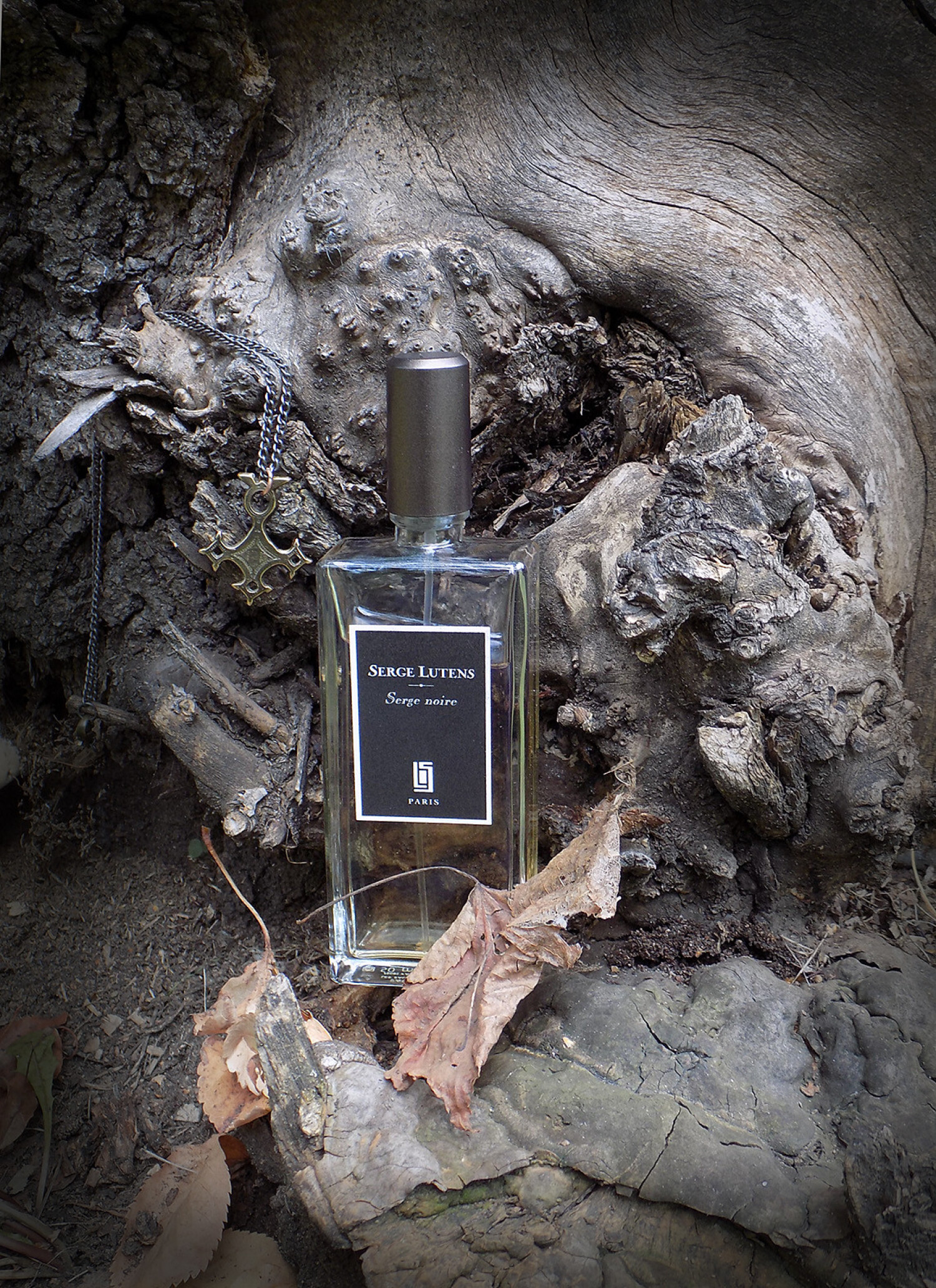 Serge Noire Serge Lutens perfume a fragrance for women and