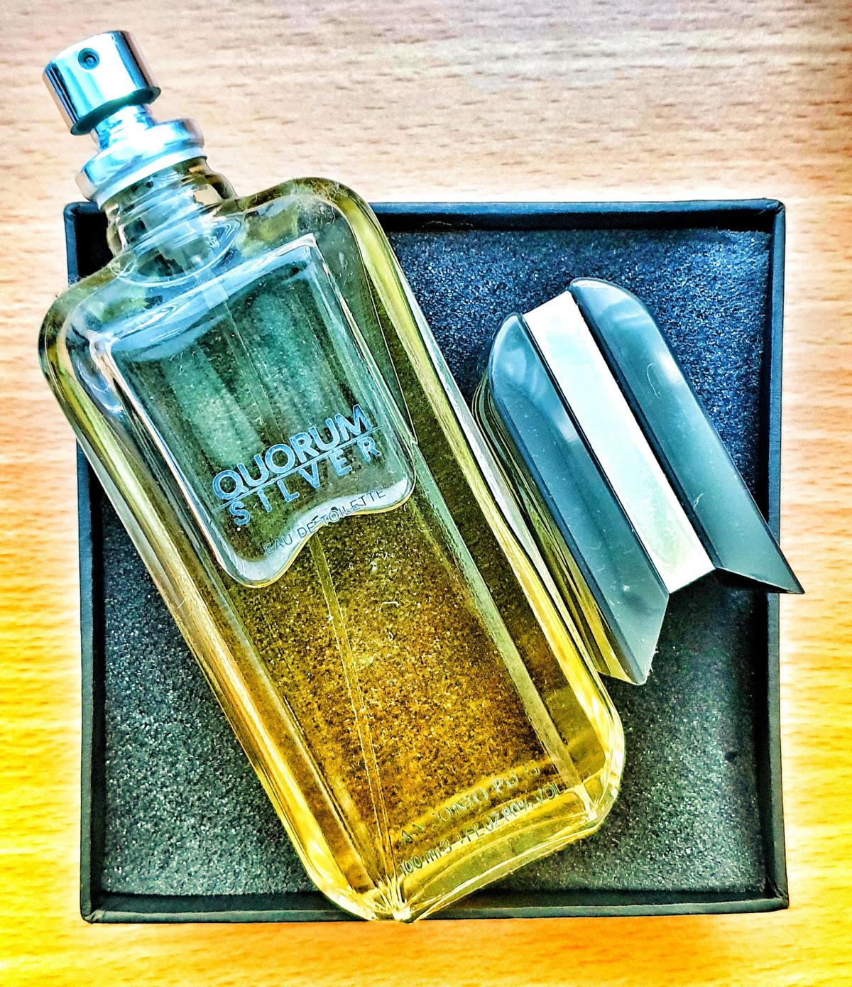 Quorum Silver Antonio Puig cologne - a fragrance for men 2005