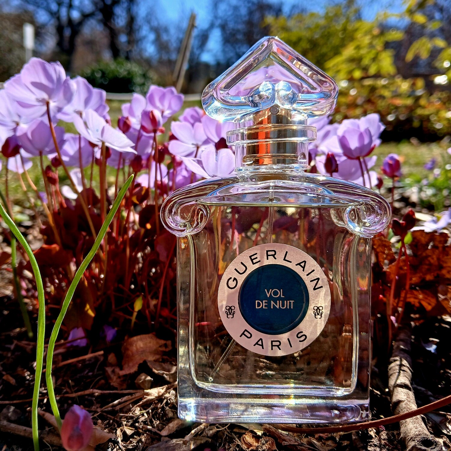 Guerlain Vol De Nuit Eau De Toilette – 100 Ml Spray, Holzig-blumiger Duft