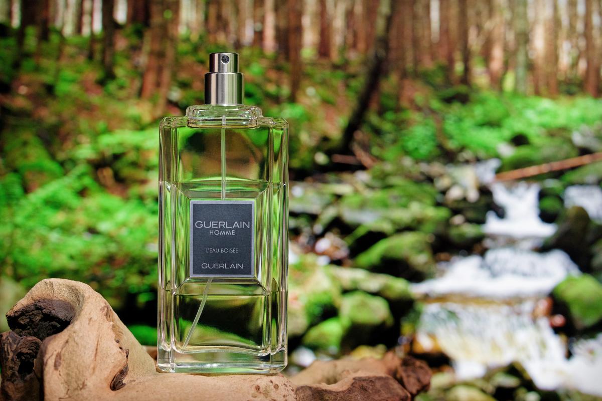 Guerlain Homme L'Eau Boisée Guerlain cologne - a fragrance for men 2012