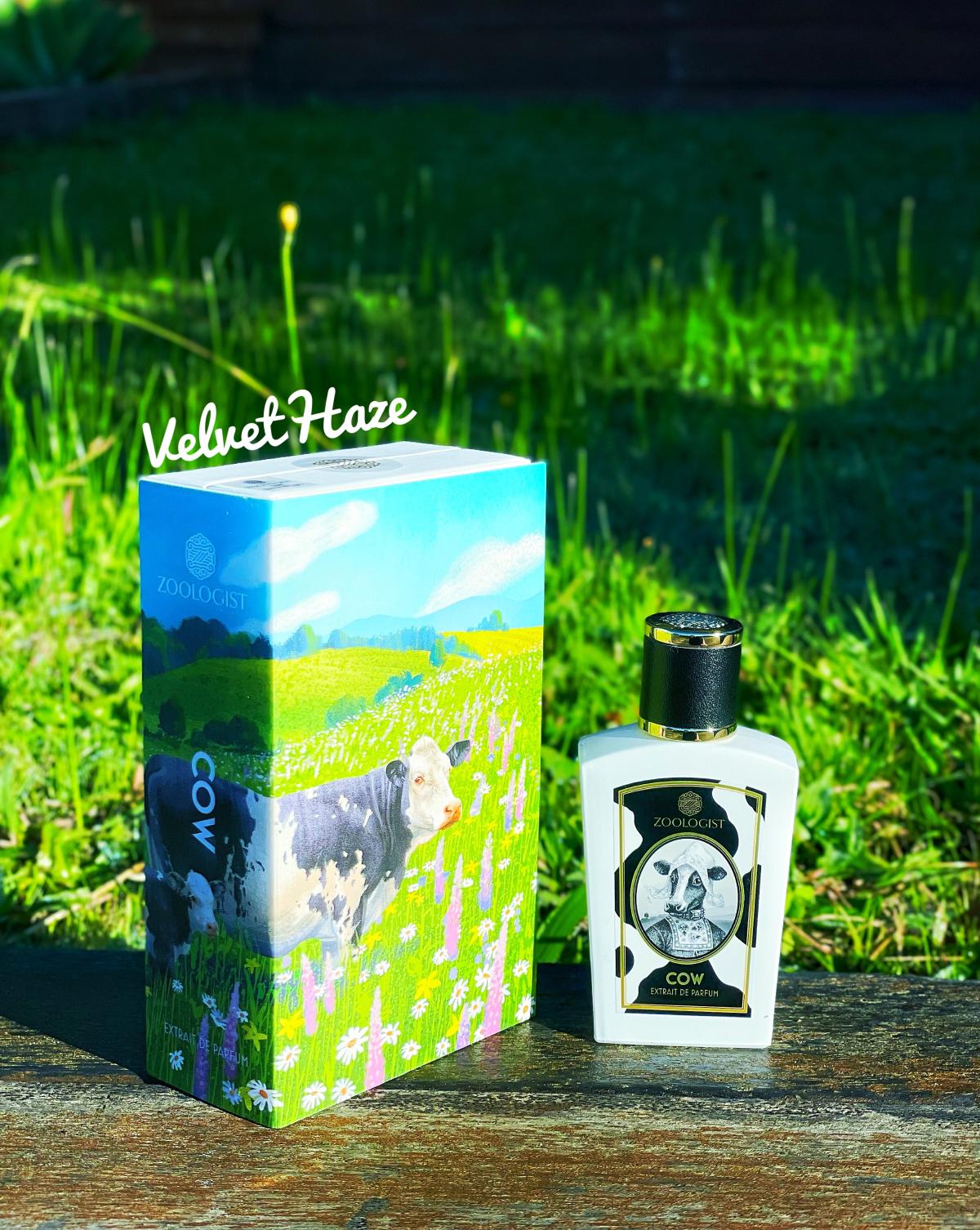 Cow Zoologist Perfumes perfume a new fragrance for women and men 2022