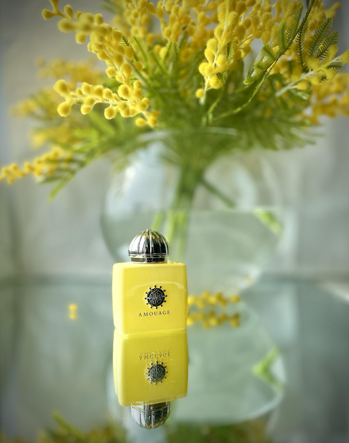 Love Mimosa Amouage аромат — аромат для женщин 2019