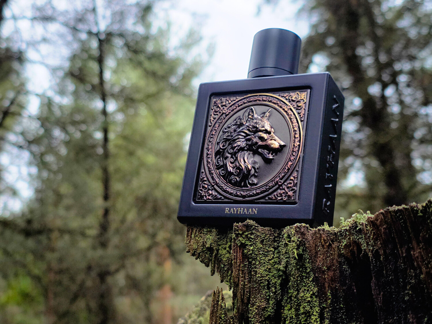 Wolves Characteristics Wolf Rayhaan cologne - a new fragrance for men 2026
