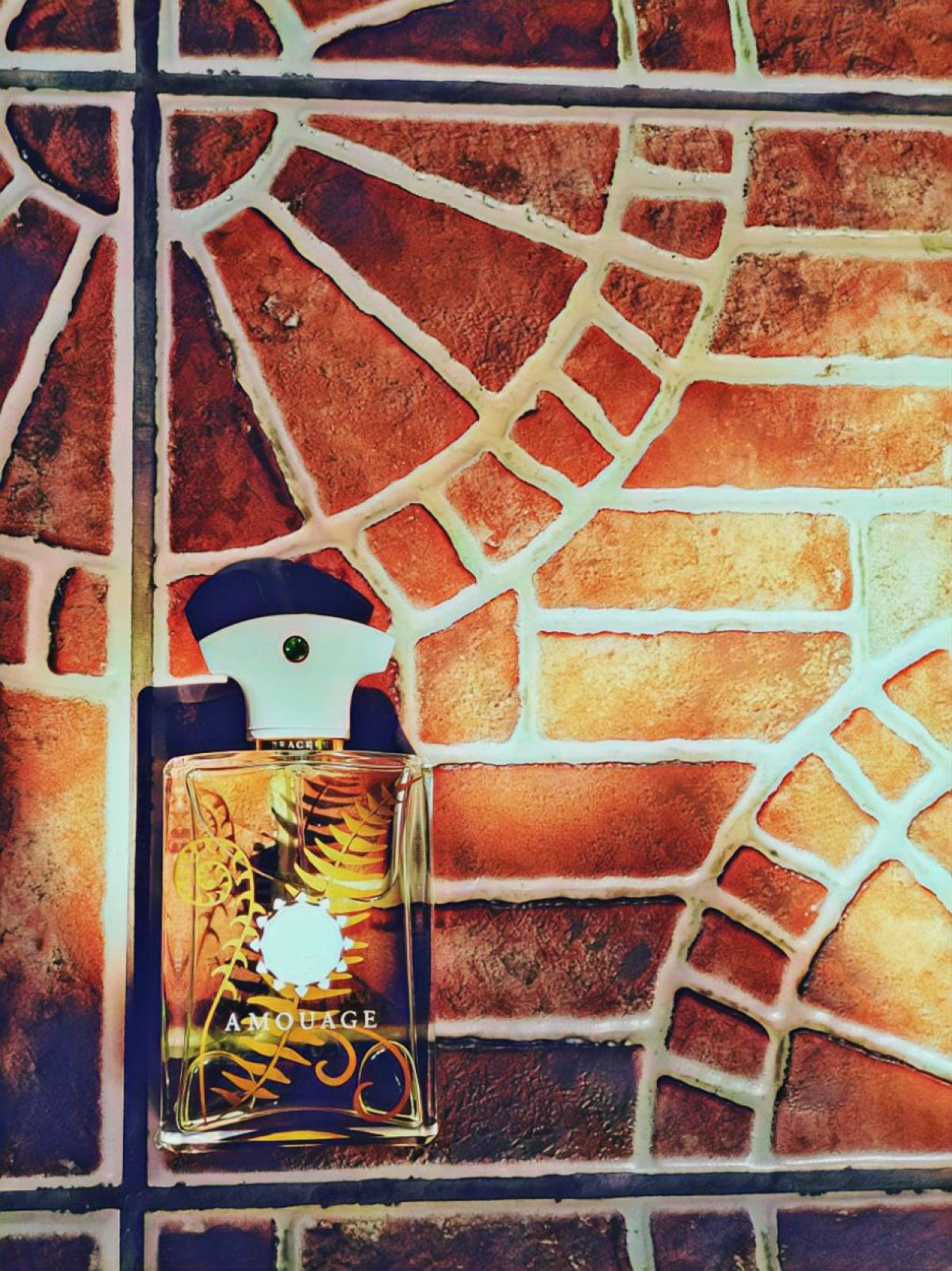Bracken Man Amouage cologne - a fragrance for men 2016