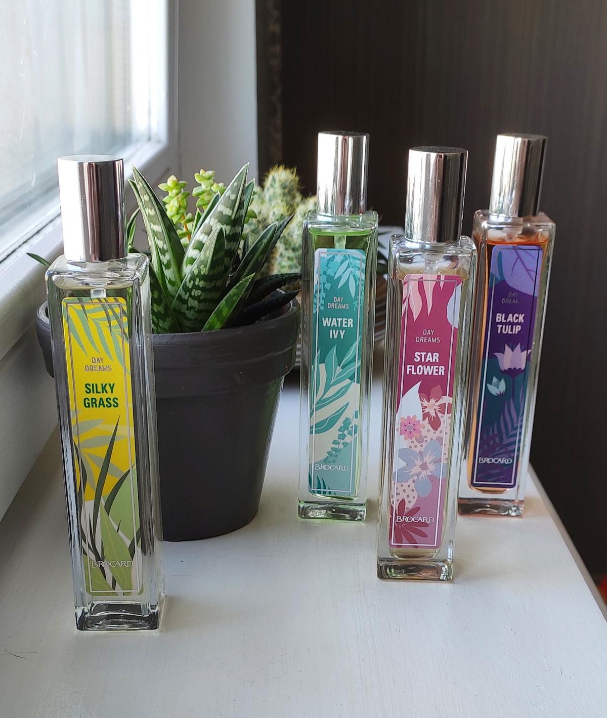 Water Ivy Brocard perfume - a fragrance for women 2021