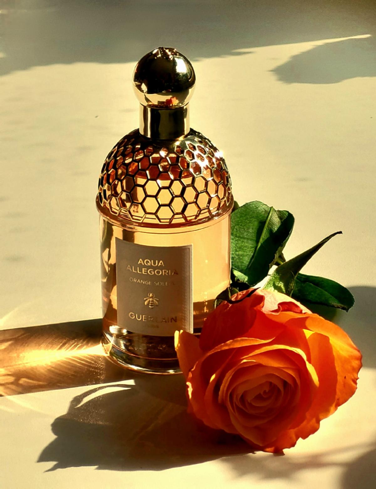 Aqua Allegoria Orange Soleia Guerlain perfume - a fragrance for women ...