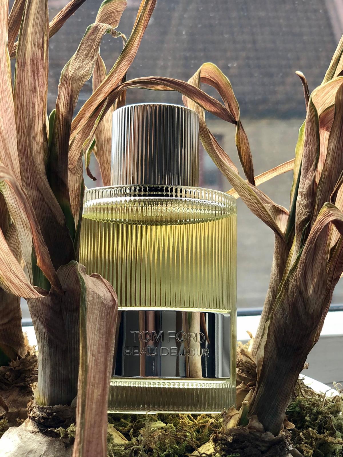 Beau De Jour Eau de Parfum Tom Ford cologne a fragrance for men 2020